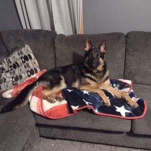 Meet your Posher, Dana